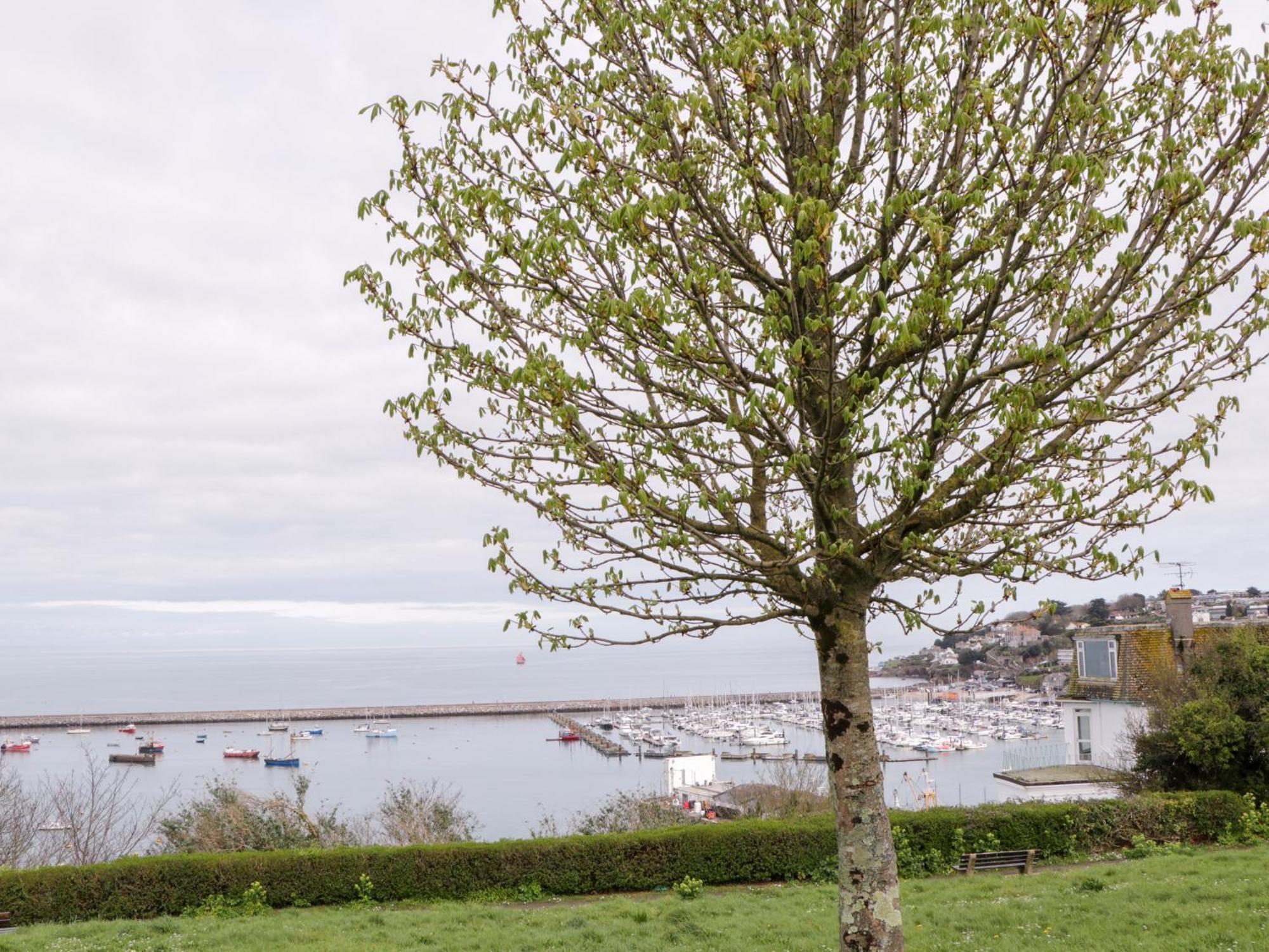 Pebble Bay Villa Brixham Kültér fotó